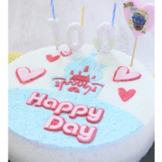 우리아이 생일날N 100일 해피데이 궁전떡케익